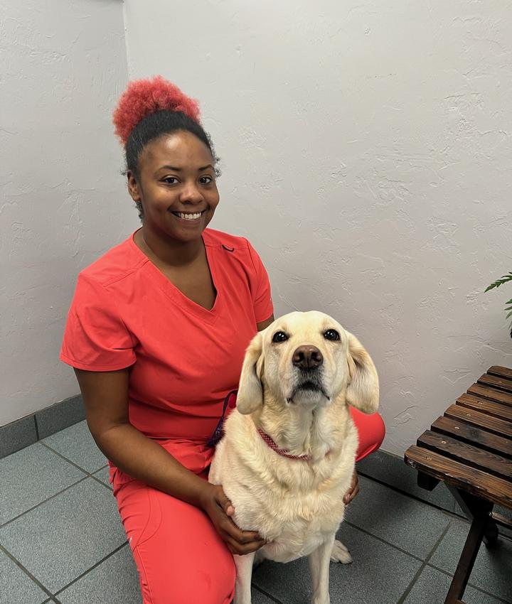 Veterinarians in Gainesville Gainesville FL Veterinarians